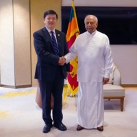王立新拜会斯里兰卡总理古纳瓦德纳