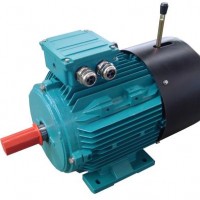 YEL电磁制动三相异步电动机大连电机厂