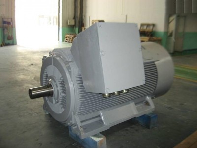 MD1C系列三相異步電動(dòng)機(jī)大連電機(jī)廠