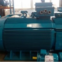 YP2系列冶金起重專用變頻調(diào)速電機