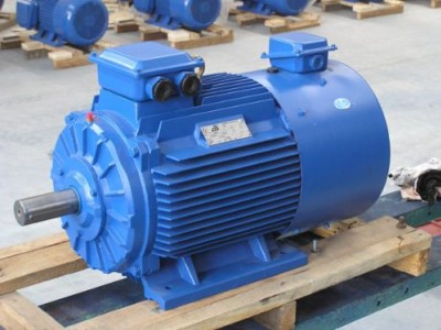 MDSP系列變頻電機(jī)大連電機(jī)廠